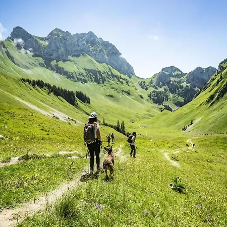 In Vonnes Area Of Châtel