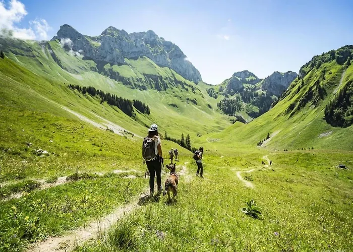 In Vonnes Area Of Châtel